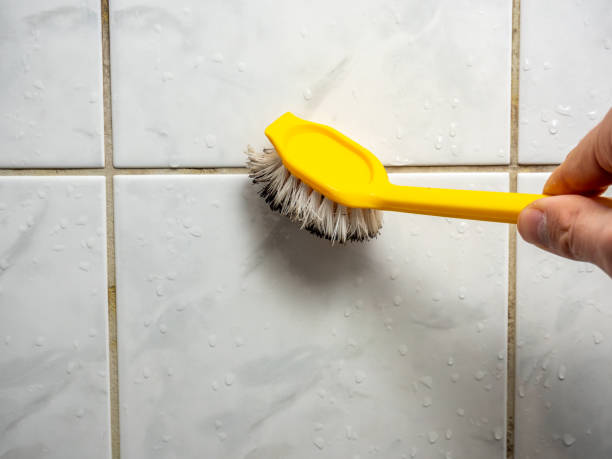 Mold Testing and Removal in Hudson, MI
