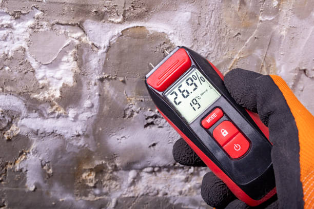 Best Mold Remediation  in Hudson, MI