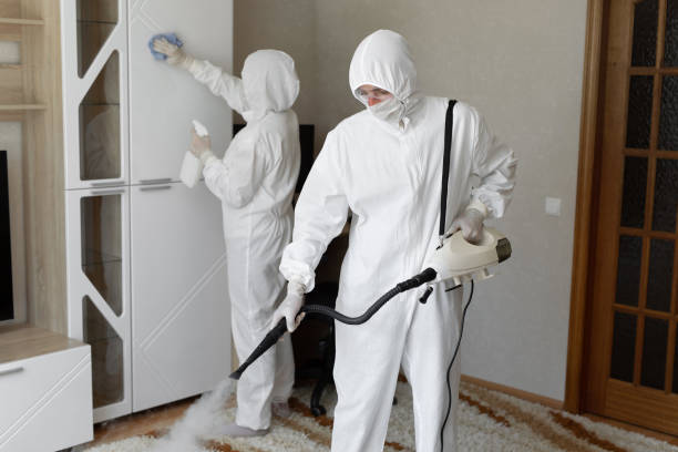 Best Certified Mold Removal  in Hudson, MI